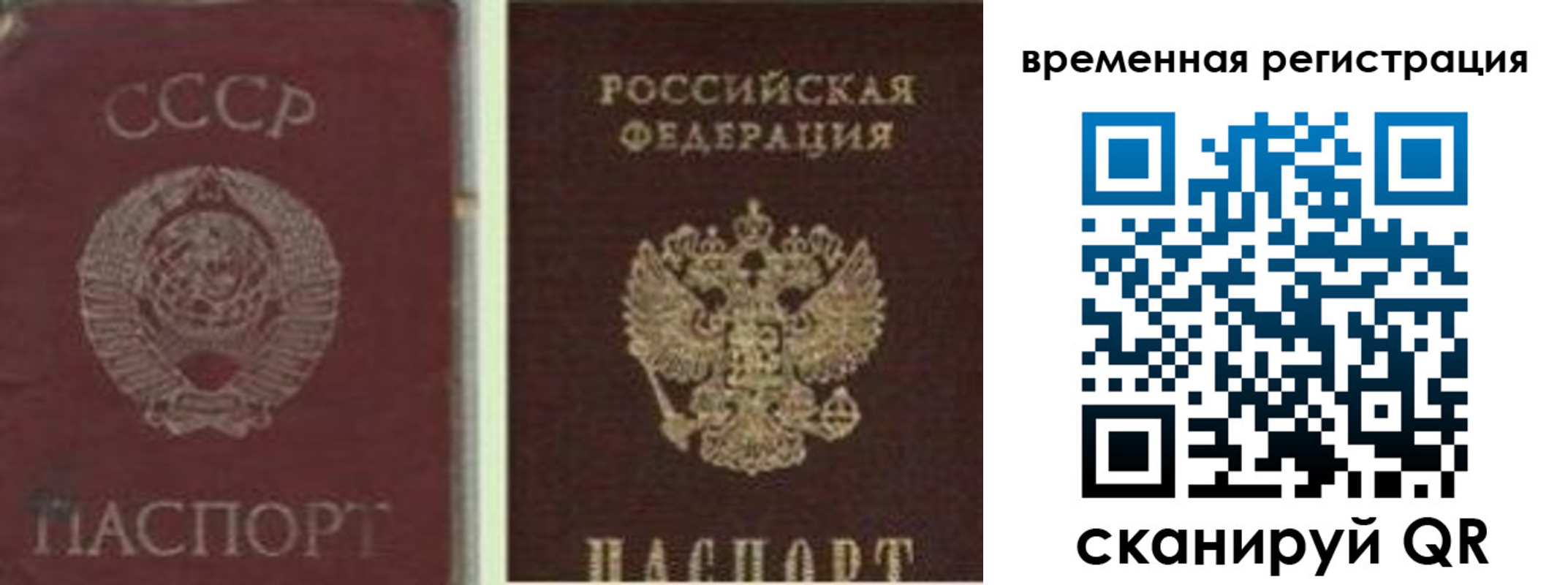 найти адрес прописки в Камбарке